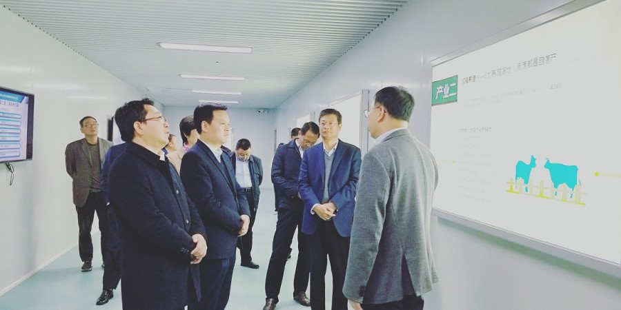 龙8头号玩家(国际)官方网站