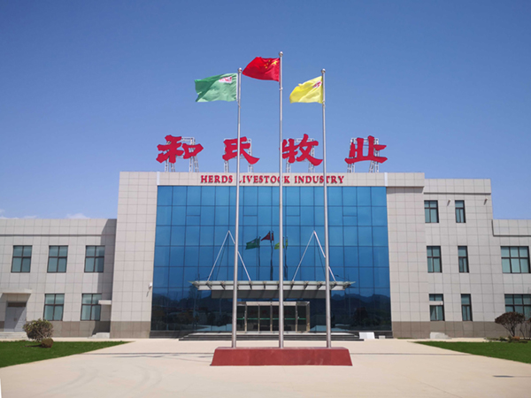 龙8头号玩家(国际)官方网站