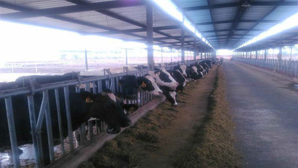 龙8头号玩家(国际)官方网站