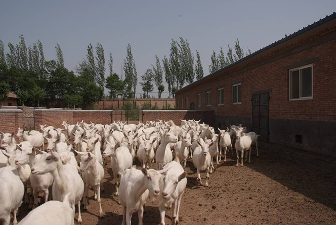 龙8头号玩家(国际)官方网站