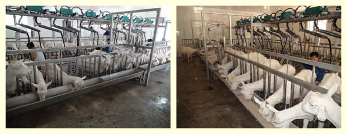 龙8头号玩家(国际)官方网站