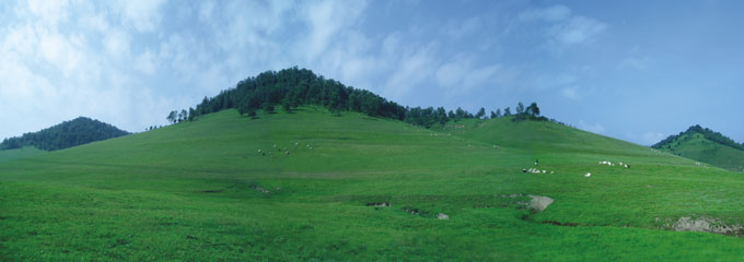 龙8头号玩家(国际)官方网站