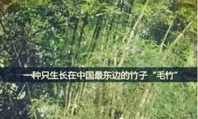 龙8头号玩家(国际)官方网站