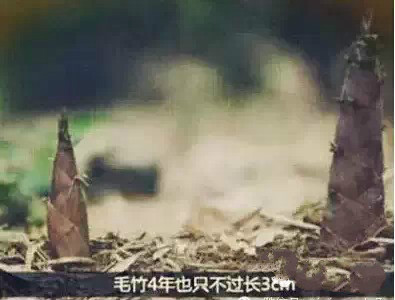 龙8头号玩家(国际)官方网站