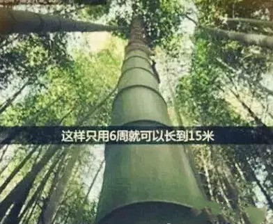 龙8头号玩家(国际)官方网站