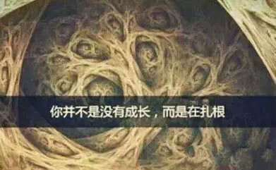 龙8头号玩家(国际)官方网站