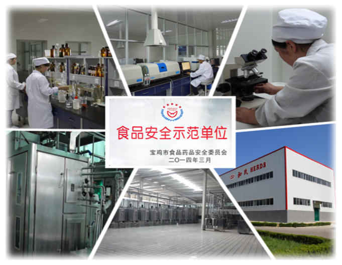 龙8头号玩家(国际)官方网站