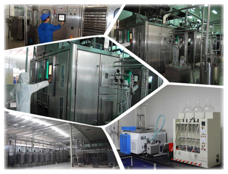 龙8头号玩家(国际)官方网站