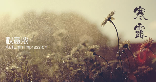 龙8头号玩家(国际)官方网站