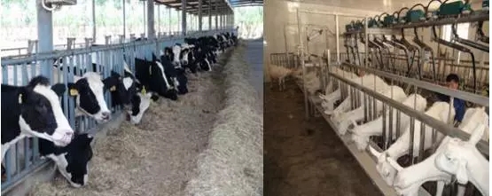 龙8头号玩家(国际)官方网站