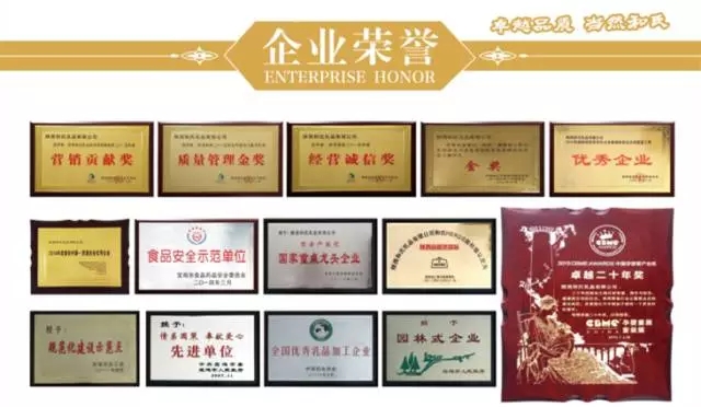 龙8头号玩家(国际)官方网站