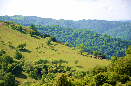 龙8头号玩家(国际)官方网站