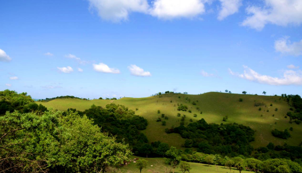 龙8头号玩家(国际)官方网站