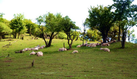 龙8头号玩家(国际)官方网站