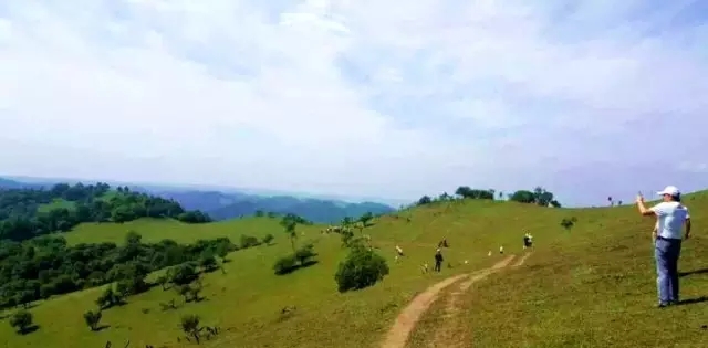 龙8头号玩家(国际)官方网站