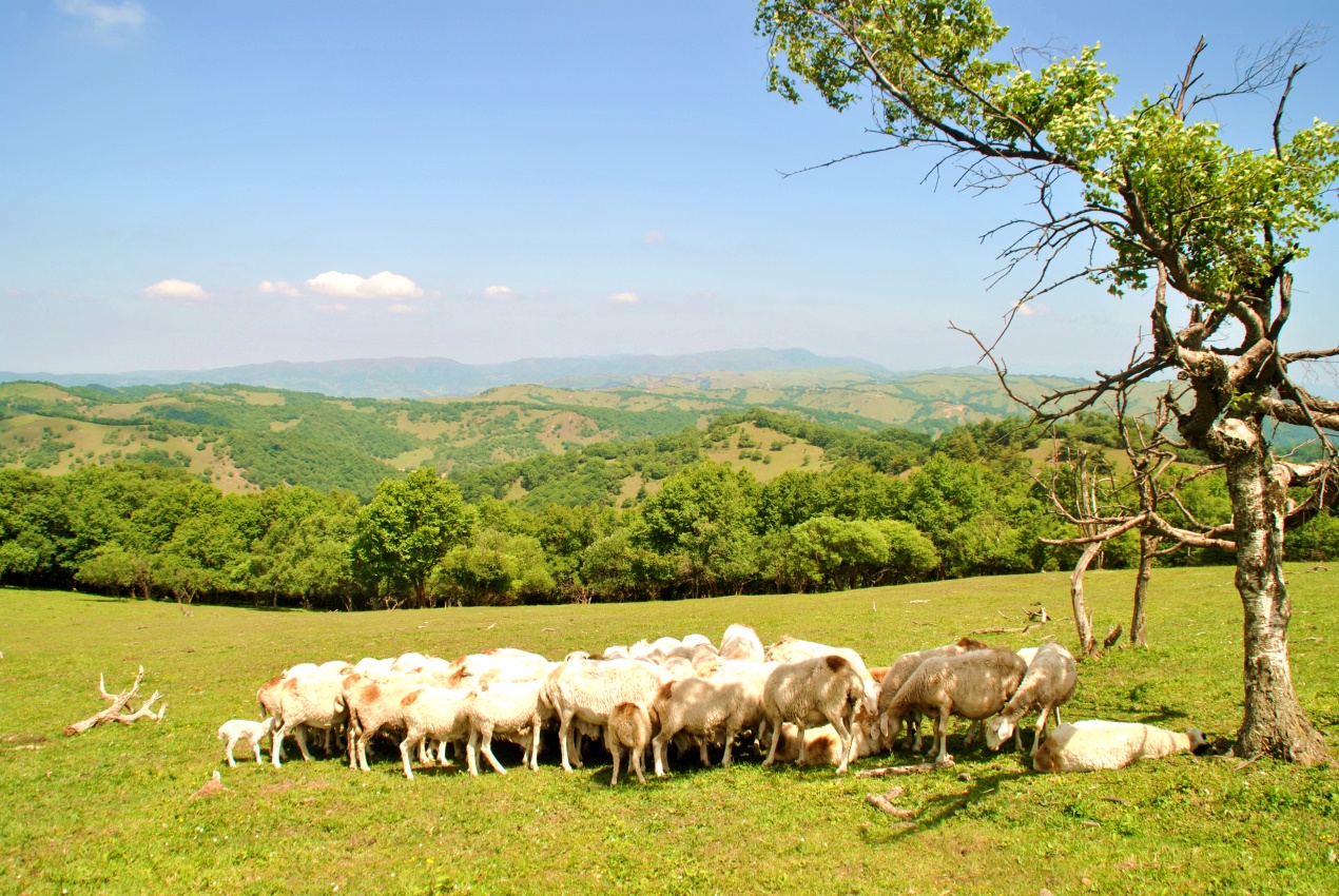 龙8头号玩家(国际)官方网站