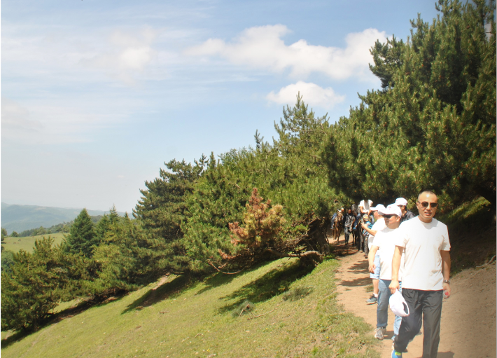 龙8头号玩家(国际)官方网站